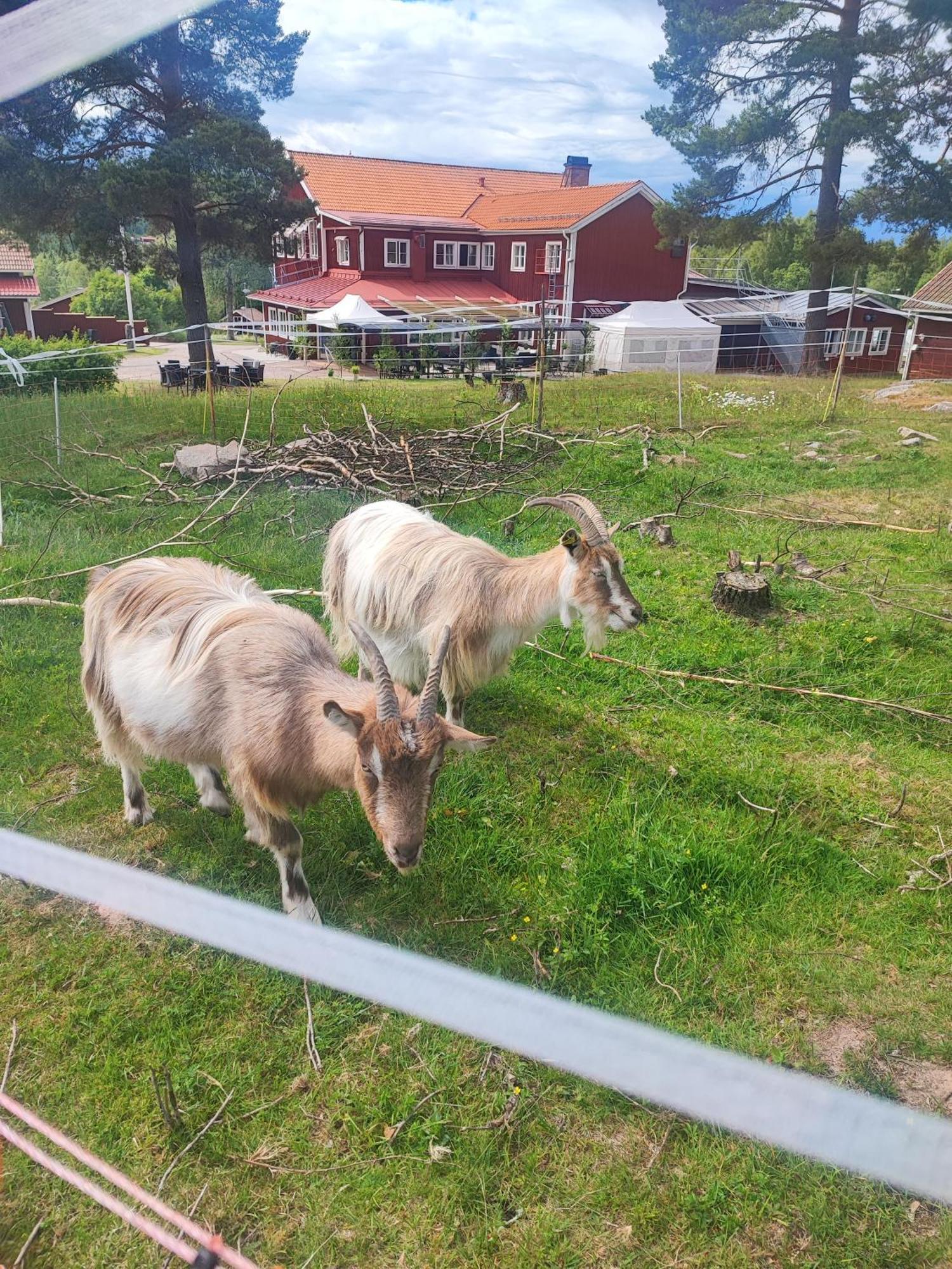 Sjugare Gard Bed & Breakfast Leksand Εξωτερικό φωτογραφία