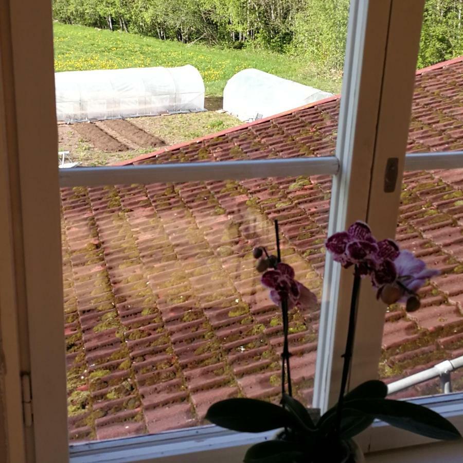 Sjugare Gard Bed & Breakfast Leksand Εξωτερικό φωτογραφία